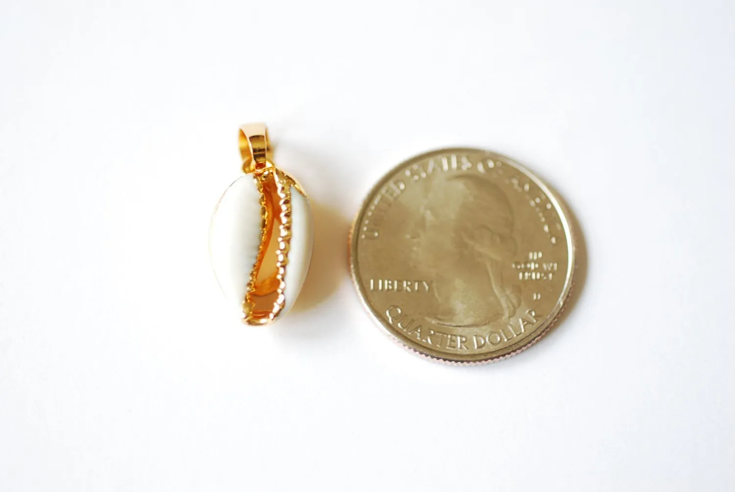 24k Gold Dipped Real Natural Cowrie Shell, Natural gold dipped shell pendant, Gold Cowrie shell pendant charm, Cut Cowrie Shell Beads