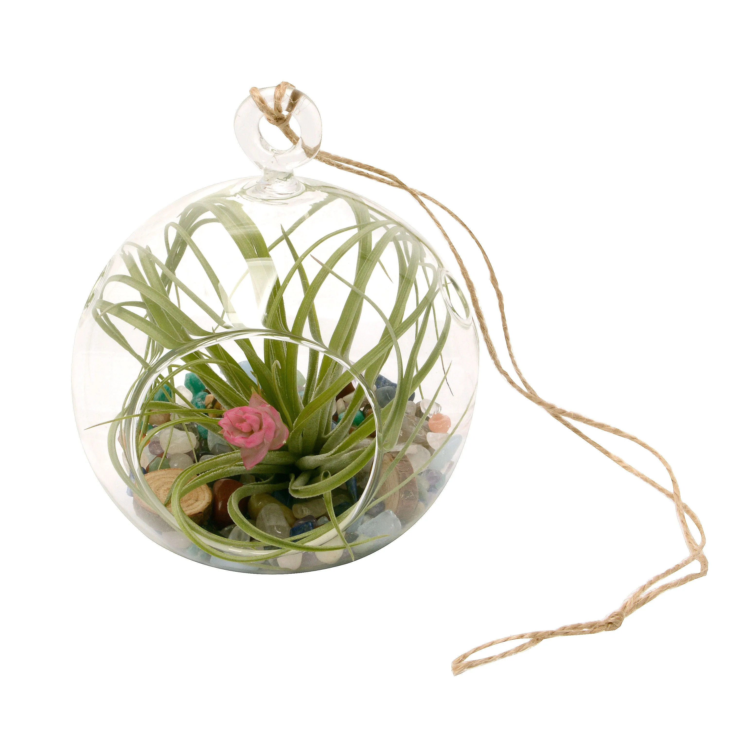 4 Rainbow Gemstone Bubble Terrarium with Blooming Air Plant