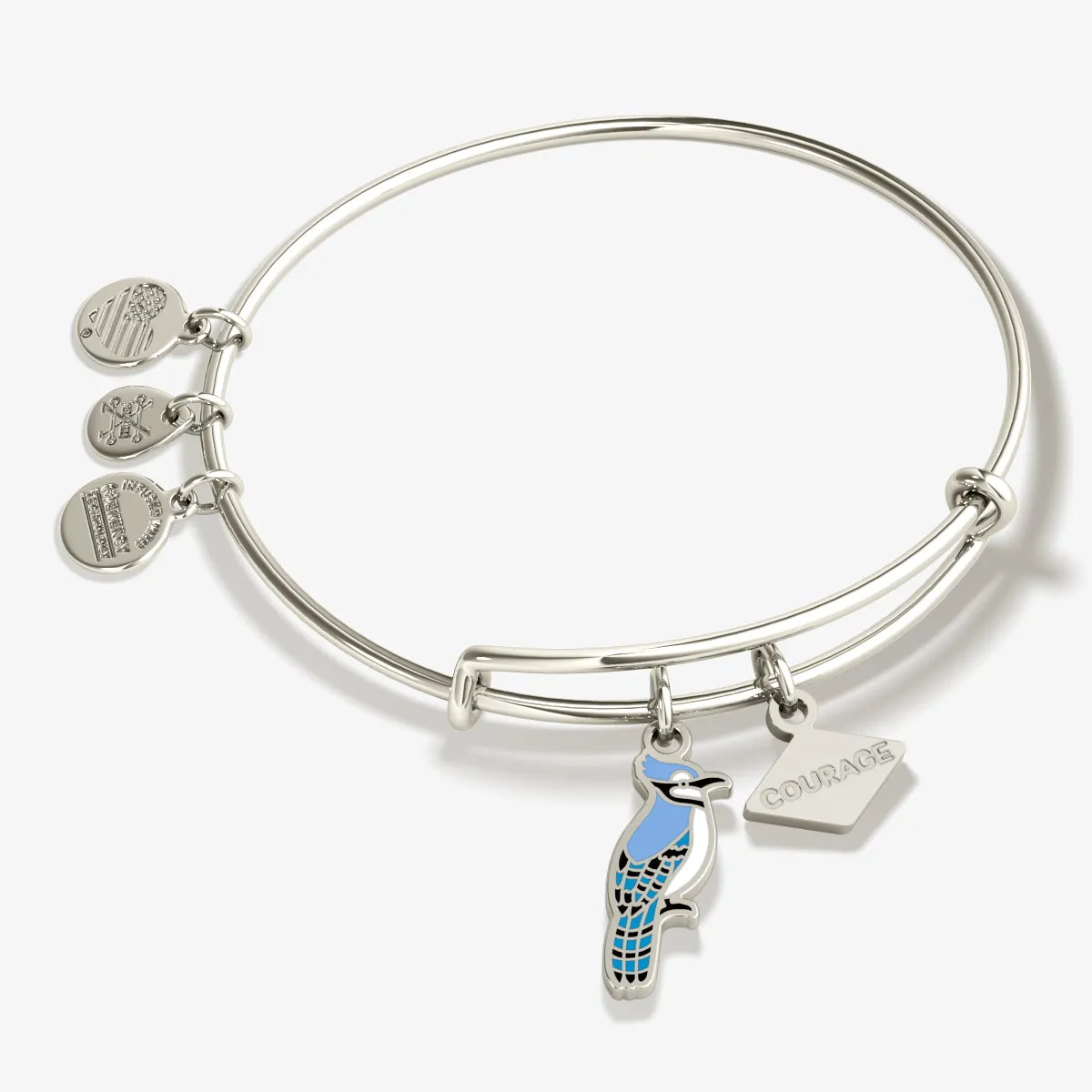 'Courage' Blue Jay Duo Charm Bangle Bracelet