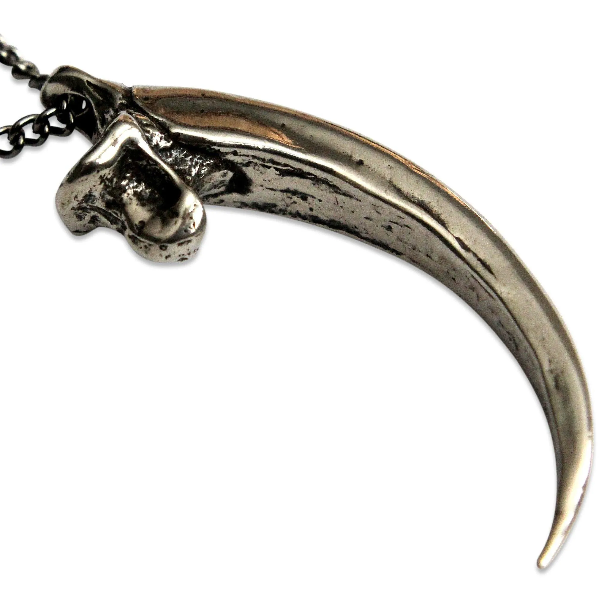 Eagle Talon Claw Necklace