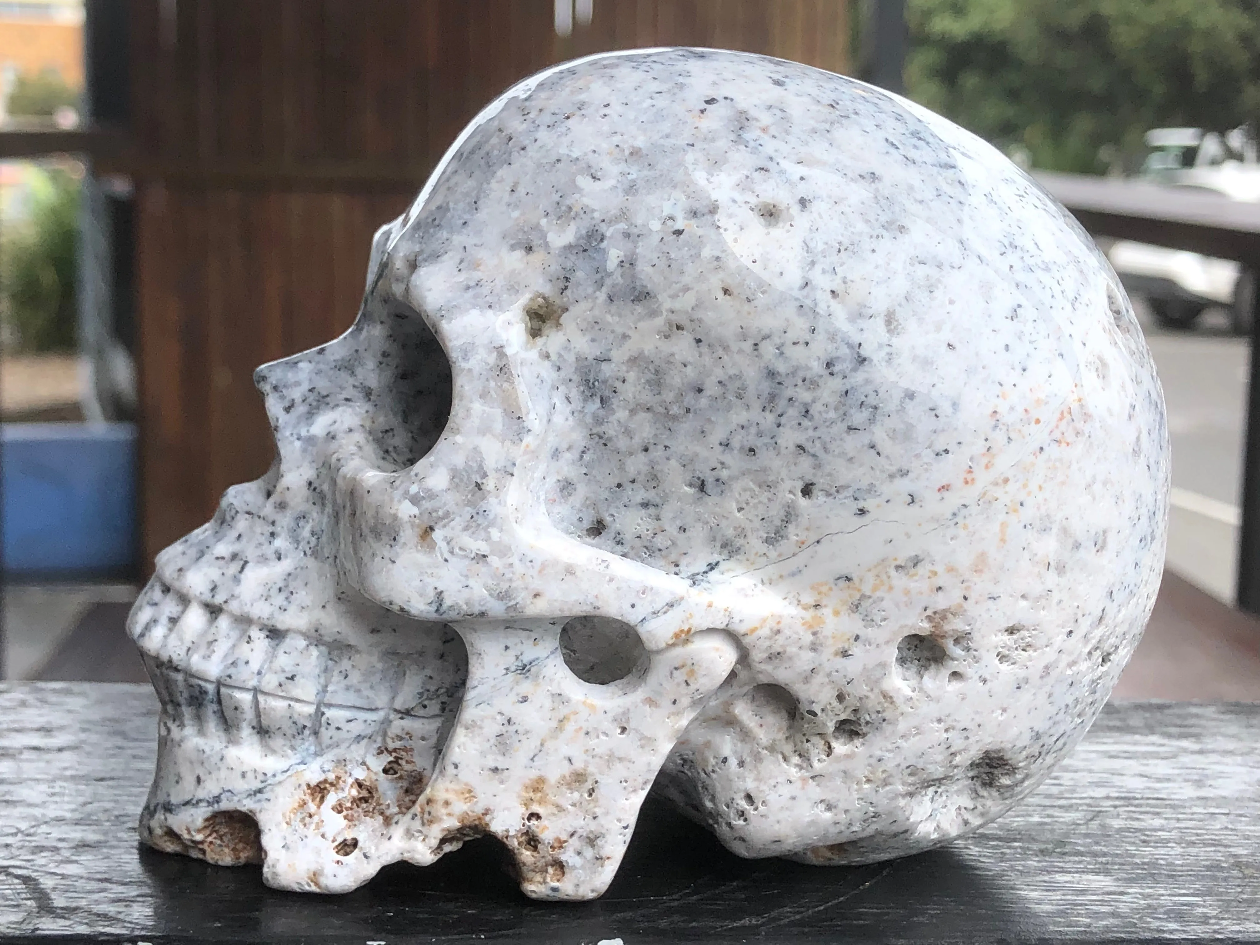 Flower Agate Skull [1k1347]