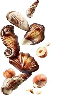 GuyLian Artisan Belgian Chocolate Sea Shells Box - 1kg