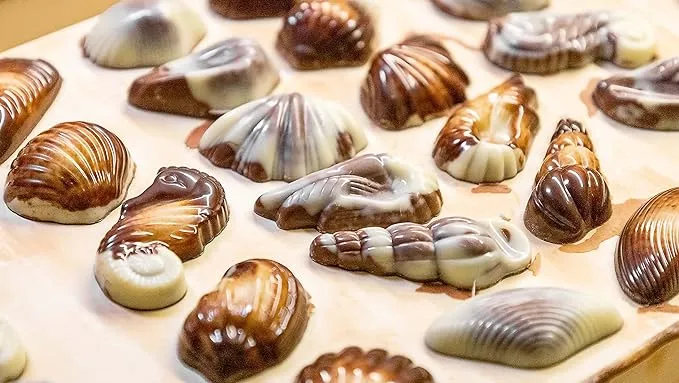 GuyLian Artisan Belgian Chocolate Sea Shells Box - 1kg