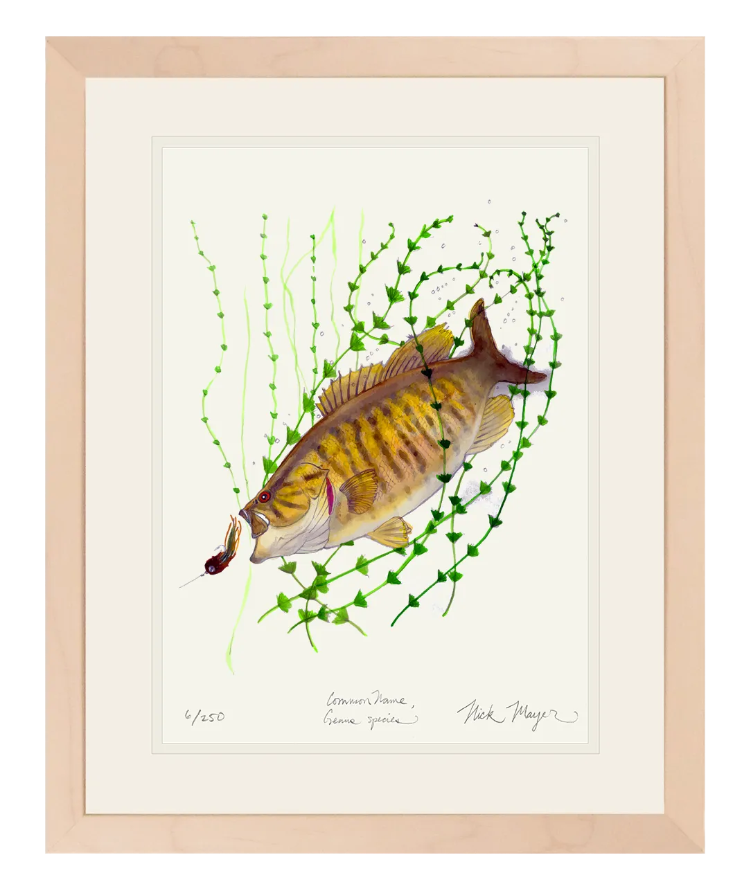 Smallmouth Bass Print