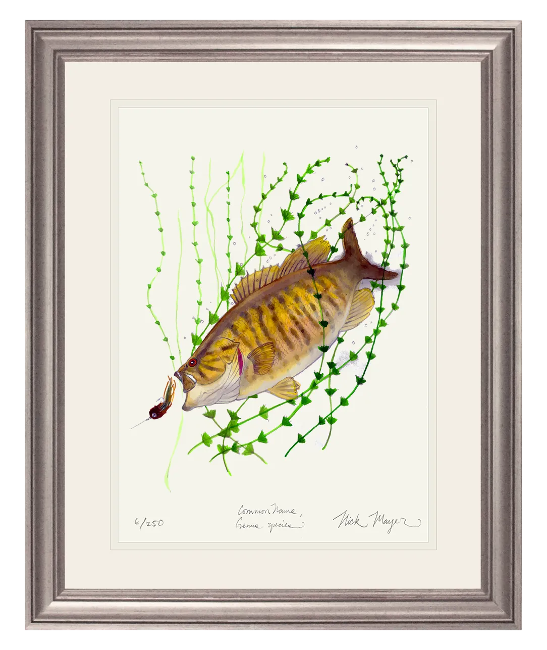 Smallmouth Bass Print