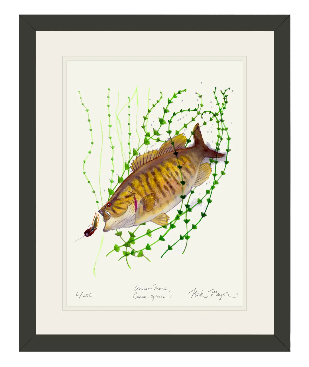 Smallmouth Bass Print