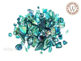 Turquoise Shell Abalone Natural Gemstones